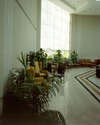 Noria Resort 